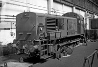 11001-Y-Ashford-300651-RP014