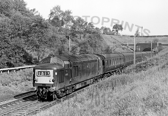 DP2-Y-PrestonBrook-0563-RAW929-1