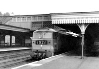D0280 Wood Green 0662 RAW119