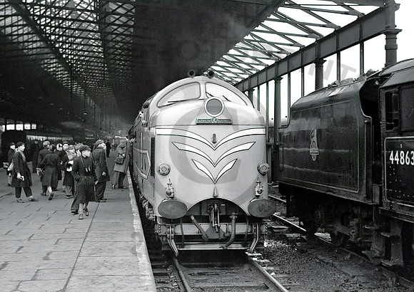 Deltic Rugby 0456 NSRAN3400-36