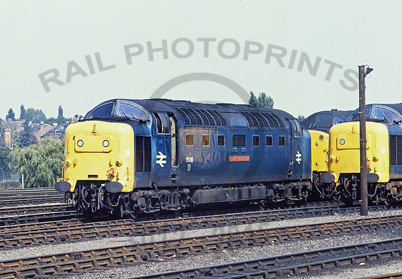 55016-York-020881-JC669