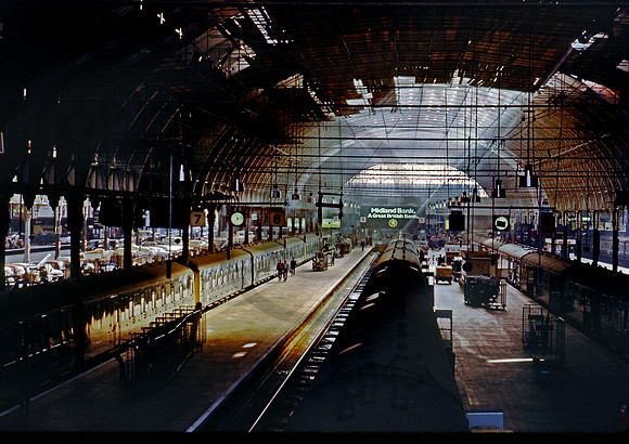 Paddington 231091 RFC-J910