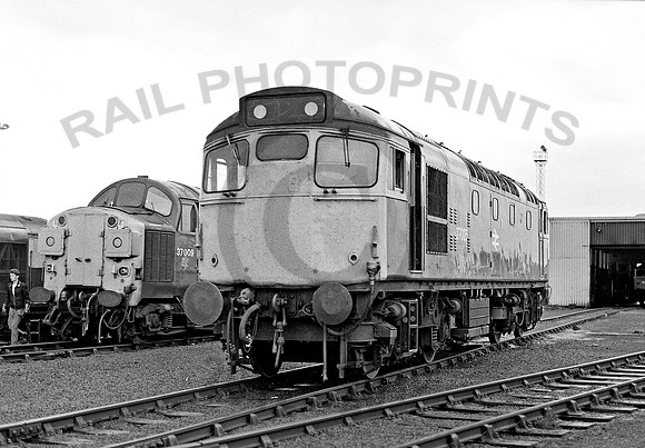 27025-Millerhill-130882-JC362