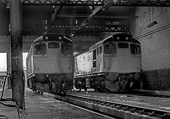 27017 Dundee 110882 DC247