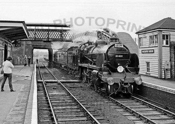31411 Partridge Green 220364 HB655 copy