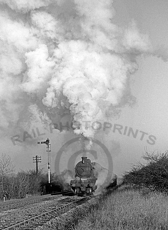 63977 Forest Town 1063  RPC091