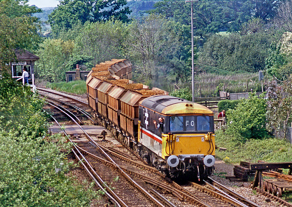 73141-Y-Fishbourne-170589-JC986