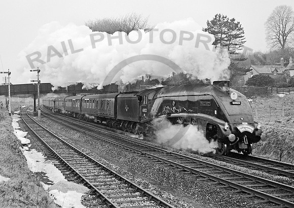 60022  Whiteball 240263 HB092