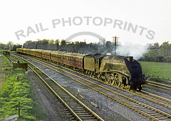 60025 Wymondely 0462 MD057