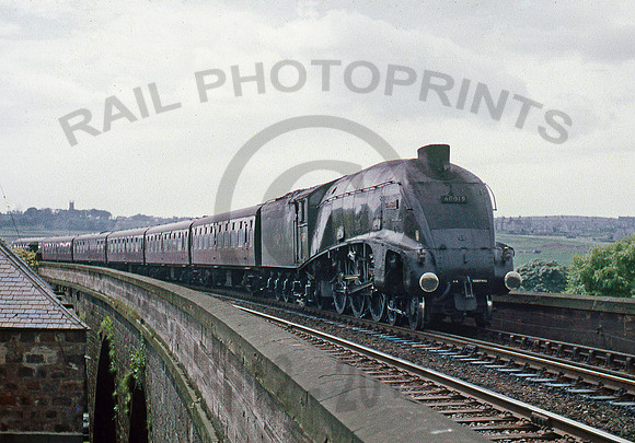60019-Y-Aberdeen-1066-BR602