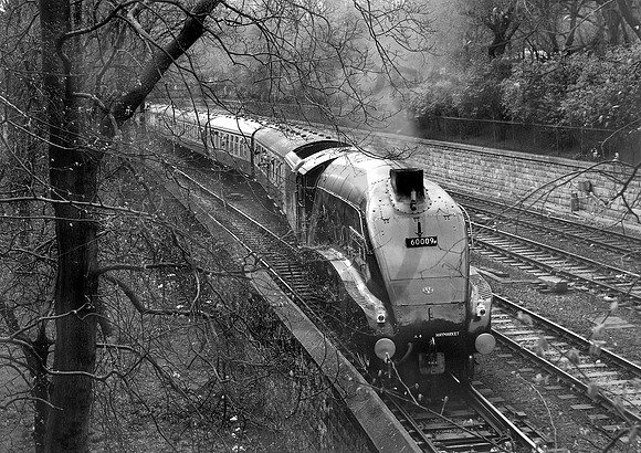 60009 Princes Street Gdns 270485   DA887