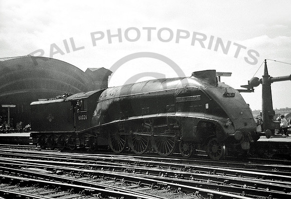 60026-Y-York-100262-RP981