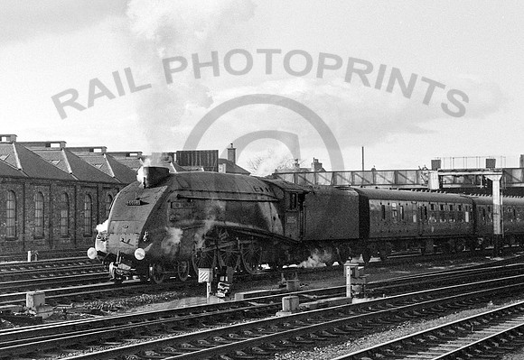 60034-Perth-0366-RPC