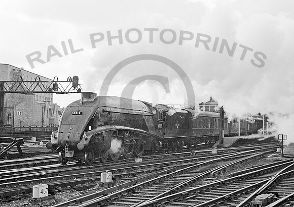 60019 Newcastle 290962 RPC755