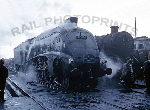 60024-Weymouth-260366-BR800