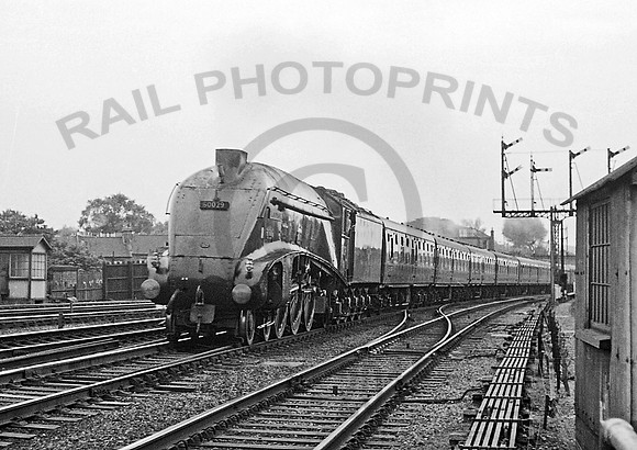 60029 Harringay West 110662 IT463