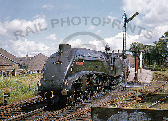 60024-Y-Forfar-0765-BR567