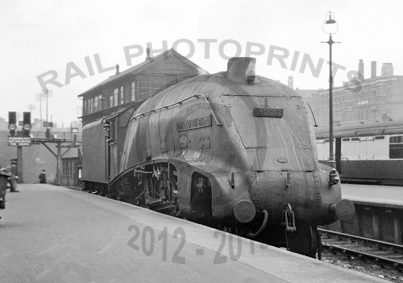 60013-Y-KingsCross-300552-RPC922