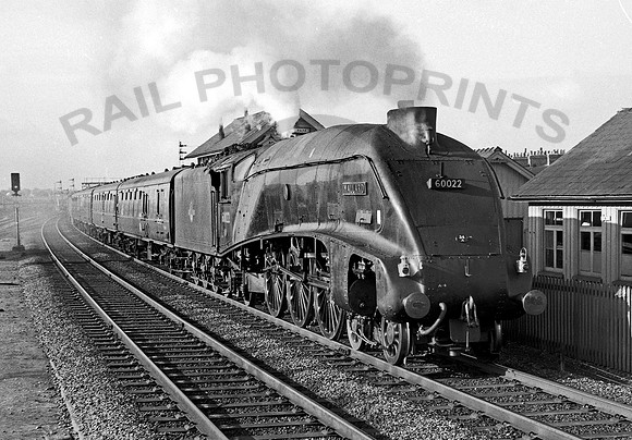 60022 Finsbury Park 1960  RP414