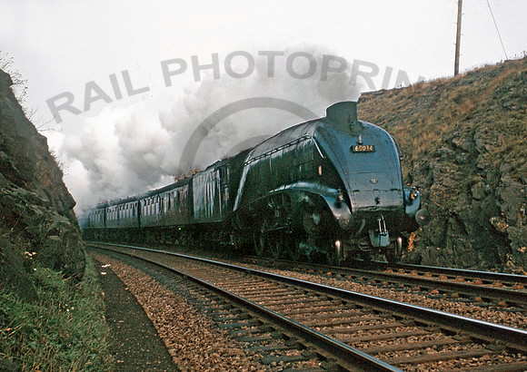 60034-Y-CoveBay-1065-BR729-1