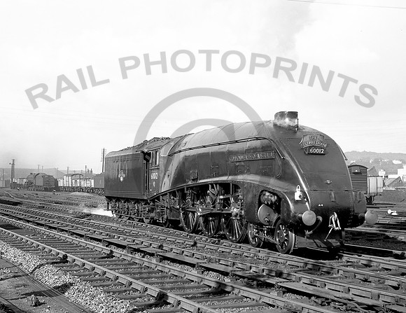 60012 Haymarket  260856 DA883