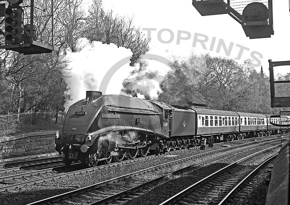 60009 Princes St Gdns   DA884