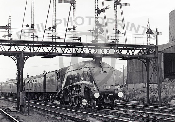 60019-Y-Stirling-030966-RPC951