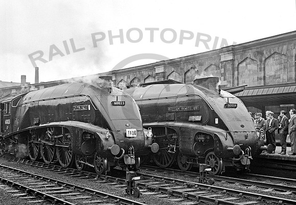 60023-04-Y-Carlisle-300663-RPC363