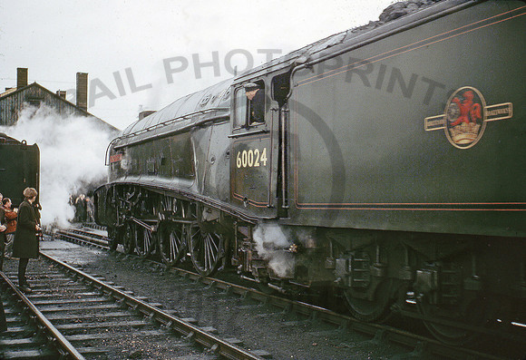 60024-Y-Weymouth-0366-BR801