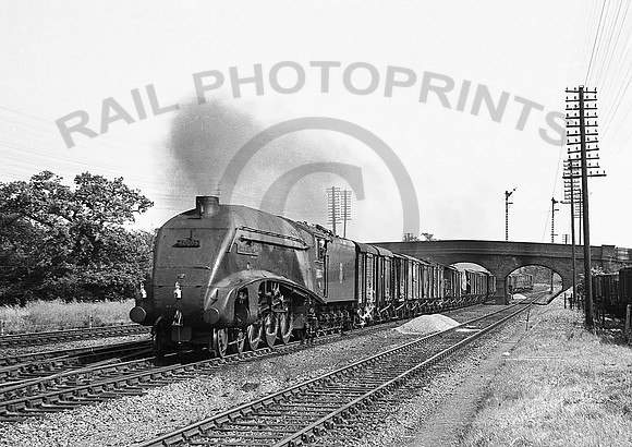 60006-Y-Marshmoor-290657-rpc502