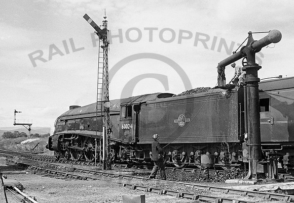 60024-Forfar-0765-BR789