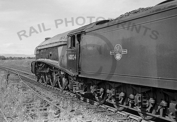 60024-Forfar-0765-BR786