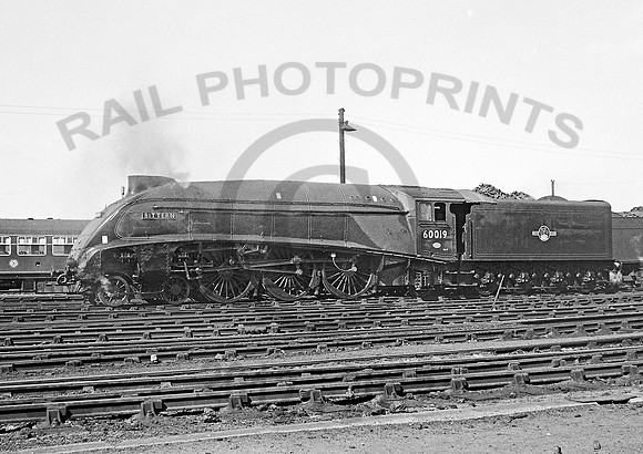 60019 York 290462 IT700