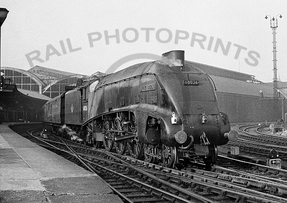 60026-Newcastle-270459-RPC103