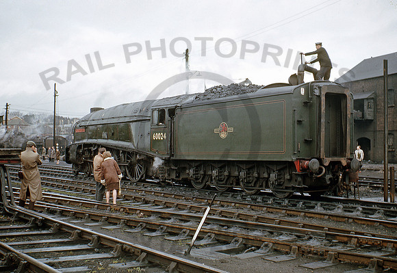 60024-Weymouth-260366-BR439