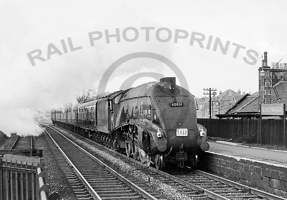 60031 Bishopbriggs 280364 CR703