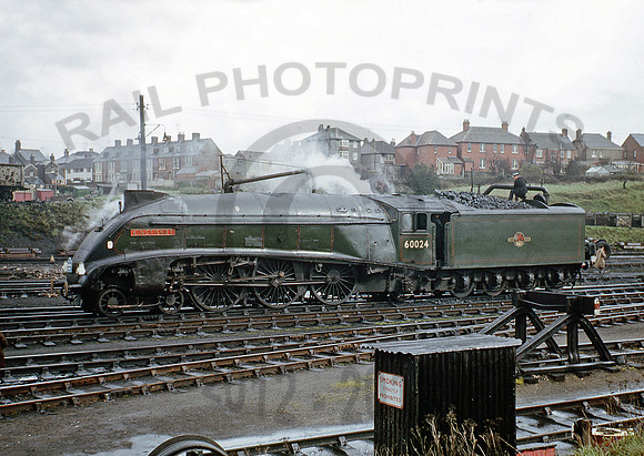 60024-Y-Weymouth-260366-BR798