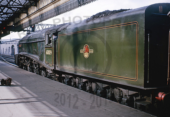 60019-Y-Perth-0766-BR559