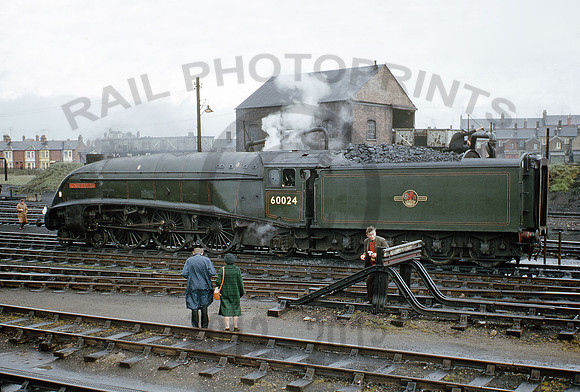 60024-Weymouth-260366-BR799