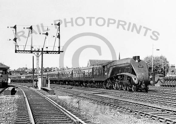 60021-Y-WoodGreen-0661-RPC948
