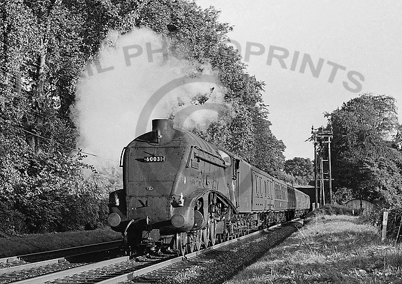 60031 Dunblane 160865 RPC677