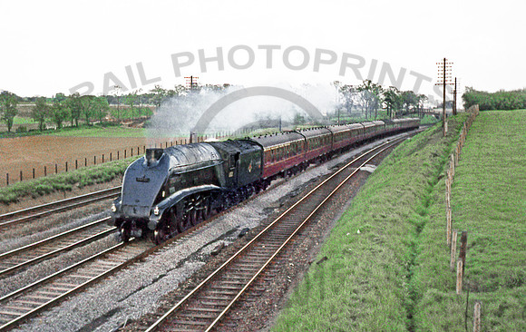 60021 Wymondely 0563 MD021