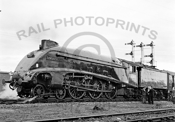 60009 Niddrie West 260964 RPC873