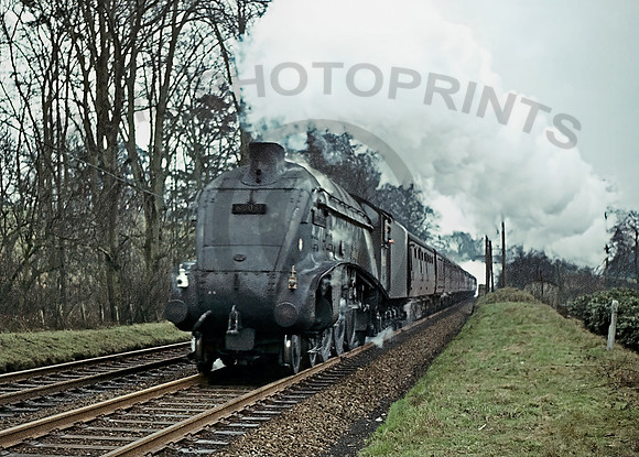 60031 Dunblane  310364 NS2030-09
