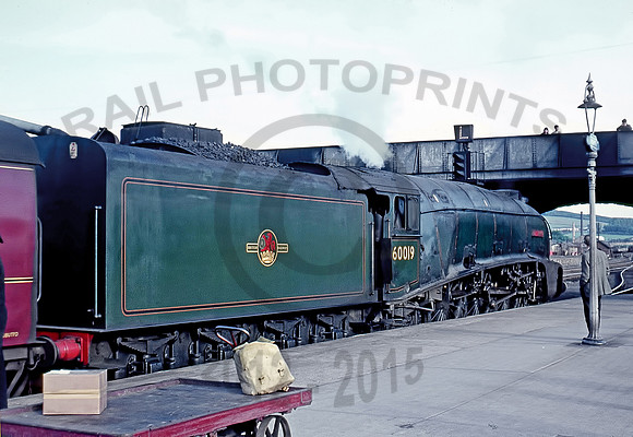60019-Y-Perth-0566-IT831