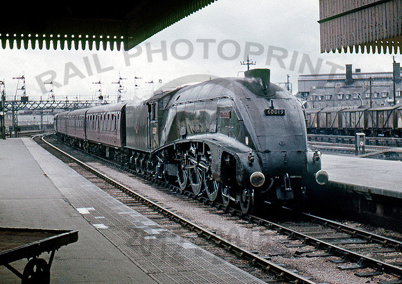 60019-Y-Aberdeen-1066-BR603