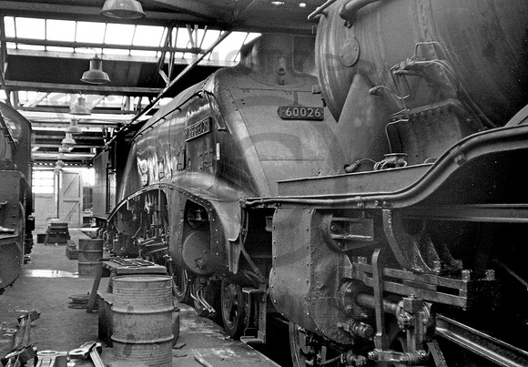 60026-Y-Darlington-0362-RPC050