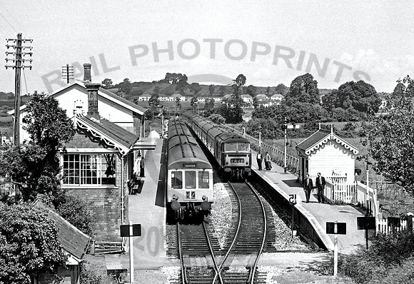 D7026 Williton 180770 HB564V