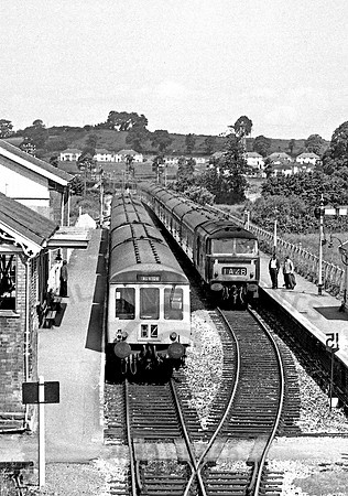D7026 Williton 180770 HB565