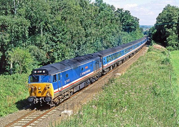 50017-Buckhorn-Weston-240891-JC667